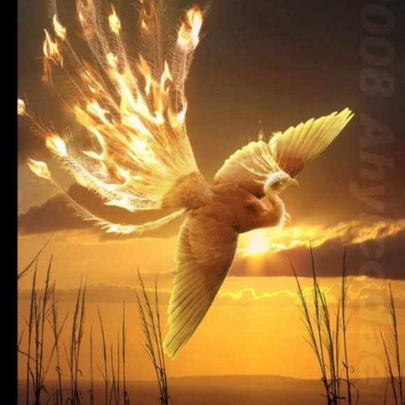 #110๐ฆ
โฅ๏ธLike New Listing #111โฅ๏ธ๐ฆ
- Picture 11 of 13